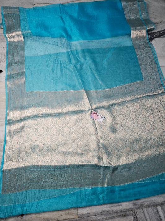 Pure Organza Banarasi Saree Aanchal Border in Sky Blue